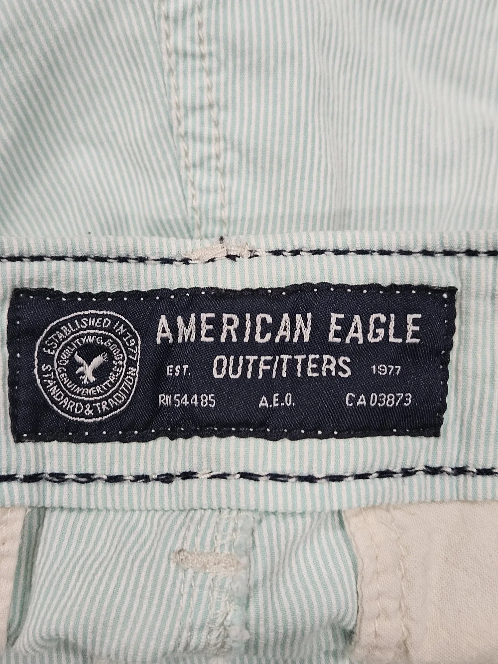 American Eagle Outfitters Mint Green Flat Front Men's Shorts